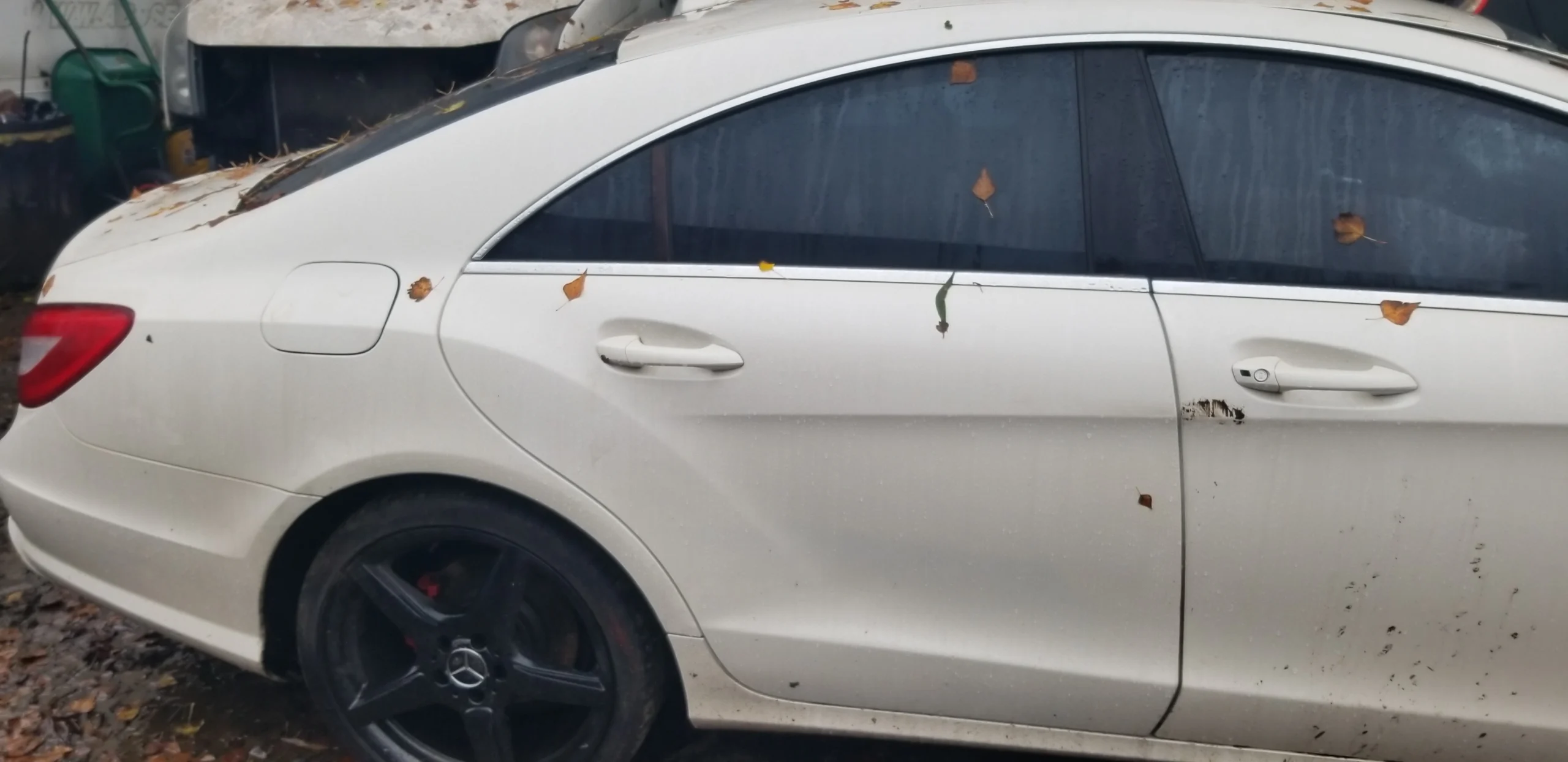 Mercedes CLS W218 rear driver side door White 799