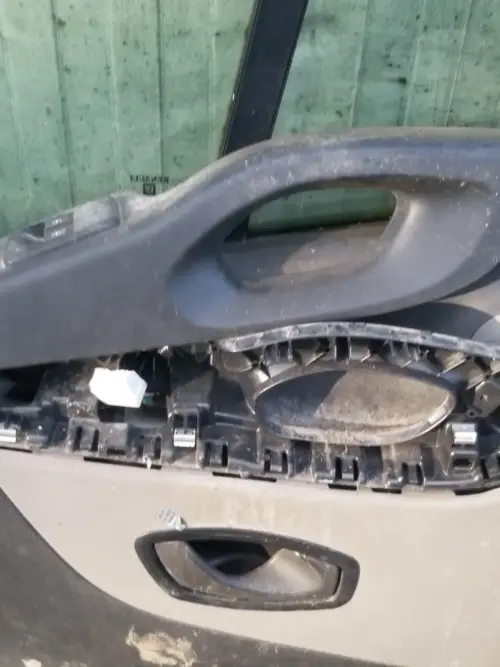 Offside front door panel for Renault Trafic X82