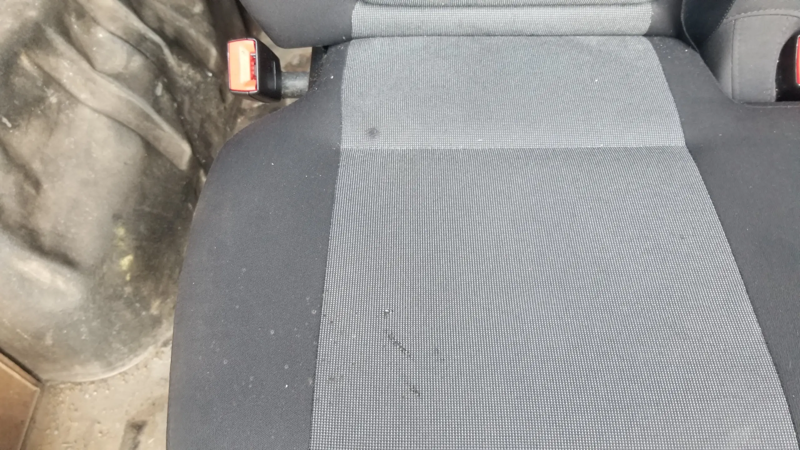 Sprinter van passenger double seat interior