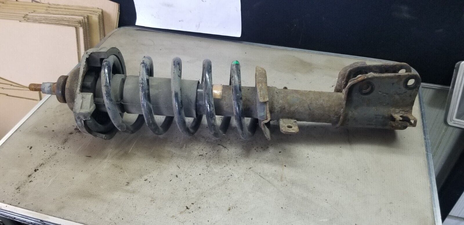 Vivaro Trafic Primastar - Front Suspension Leg Shock Absorber Coil 2012 - Image 3