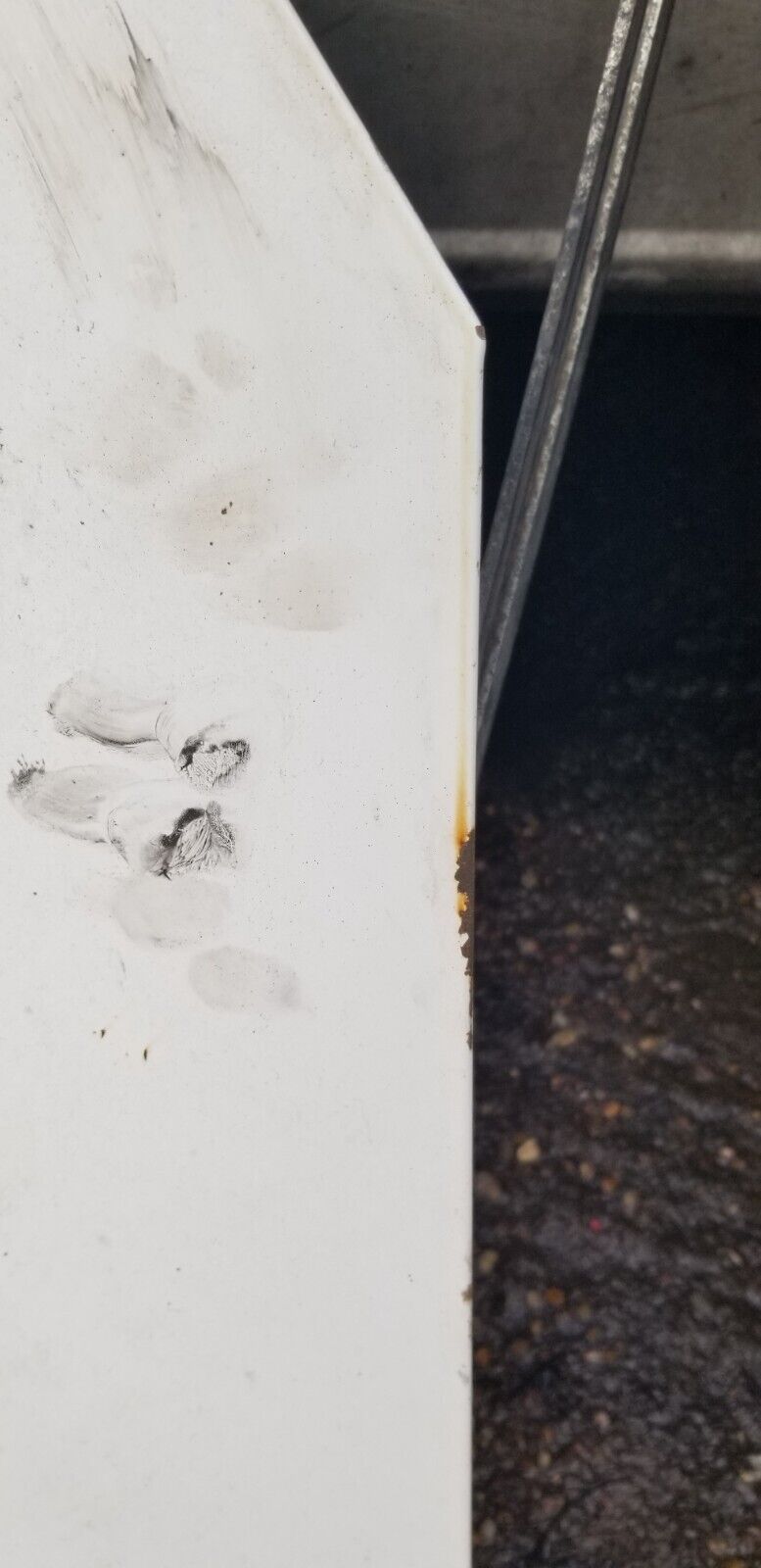 Volkswagen Crafter - Bonnet in White 2015 - Image 3