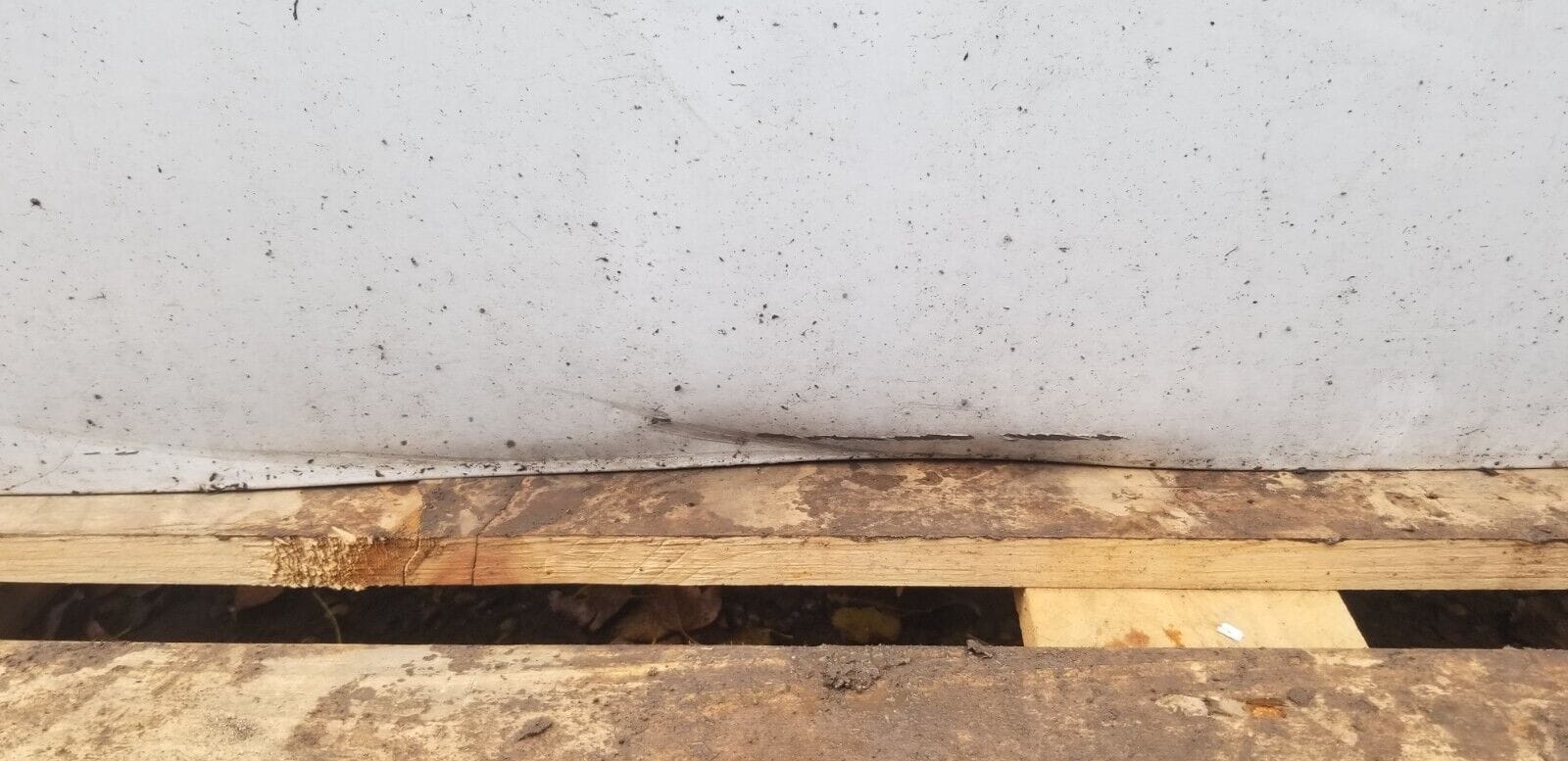 2012 RENAULT KANGOO Side Load Door - Image 4