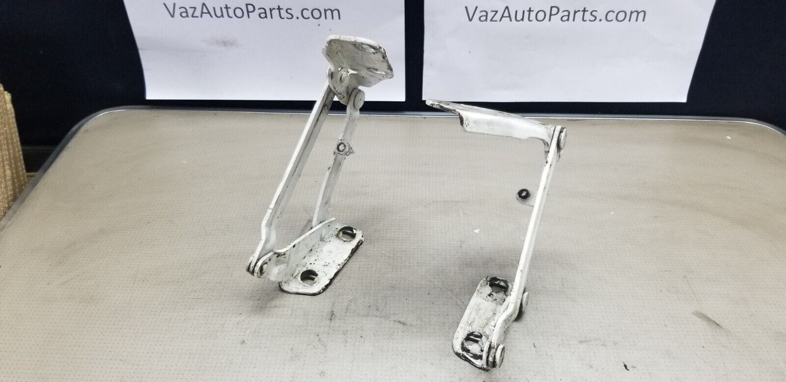 Volkswagen Crafter - Bonnet Hinges in White PAIR 06-17