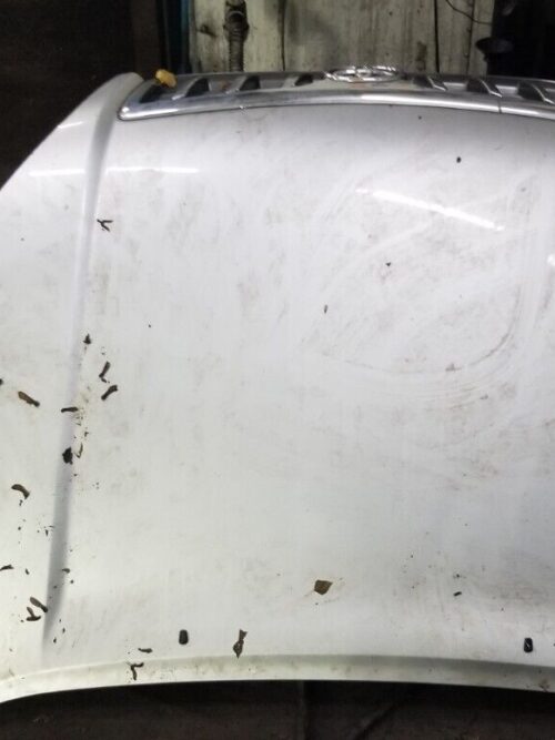 Toyota Land Cruiser Bonnet Hood Lid Front Genuine
