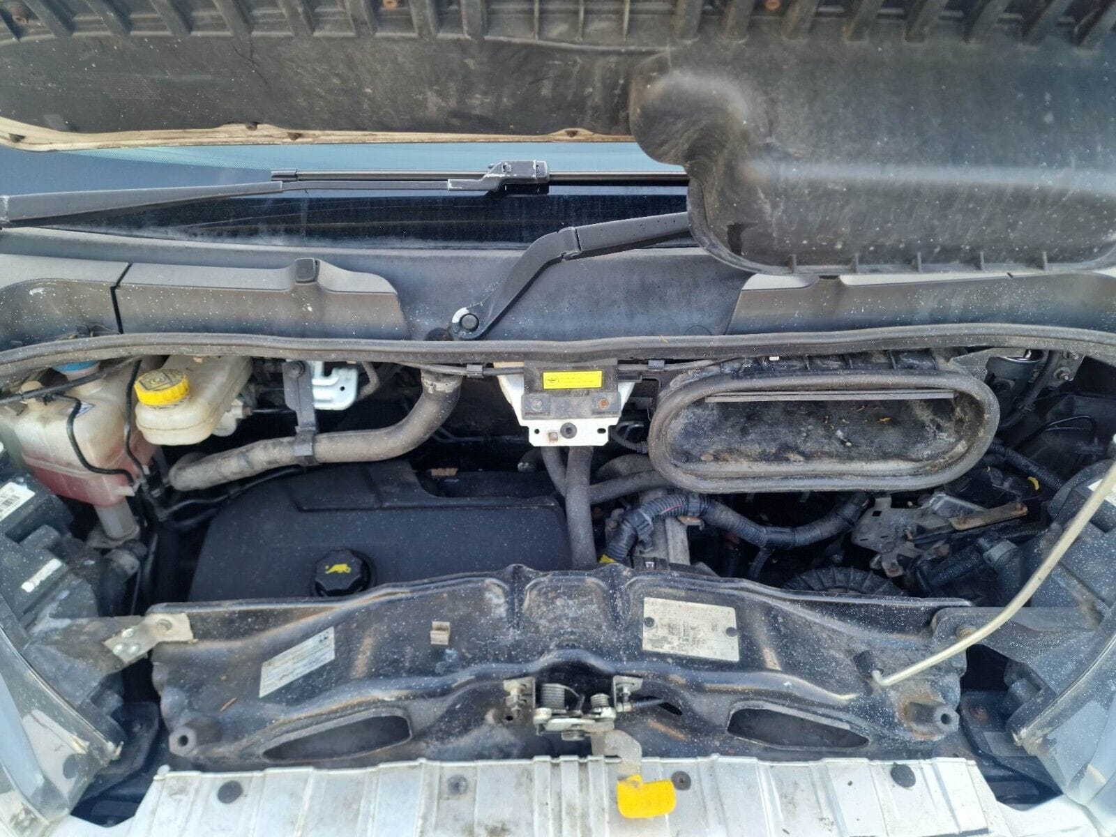 FIAT DUCATO - Image 12