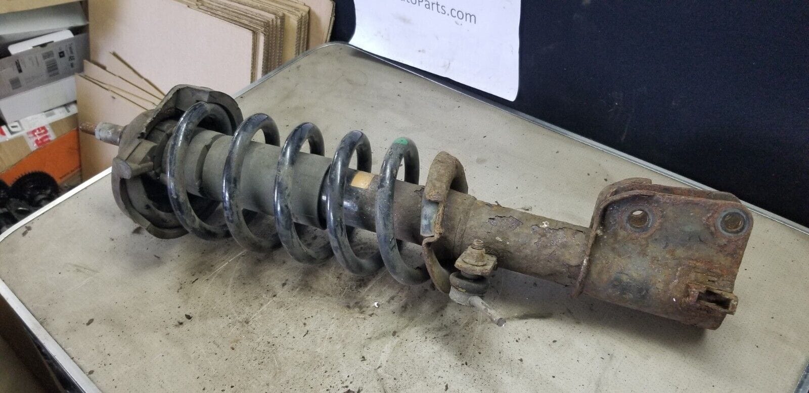 Renault Trafic Vivaro - Front Suspension Leg Shock Absorber Coil 2012 - Image 4