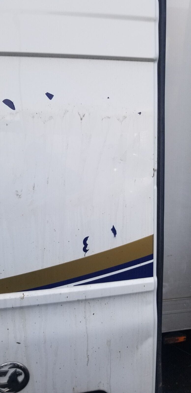 Vauxhall Movano Passenger Nearside Rear Door 2.3 2021 (WHITE) - Image 4